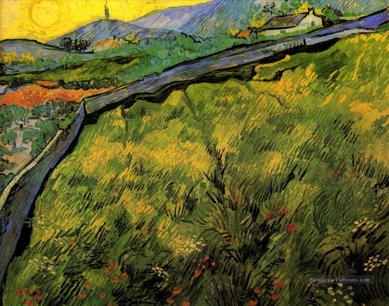Champ de blé de printemps au lever du soleil Vincent van Gogh Peintures à l'huile